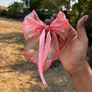 Dreamy Ribbon Bows